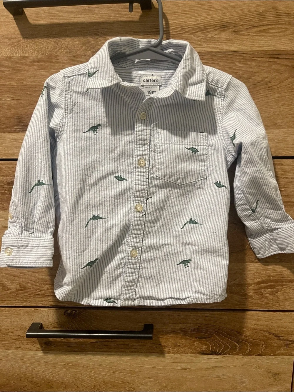 Carter’s dinosaur button down